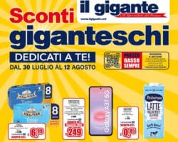 Volantino Il Gigante