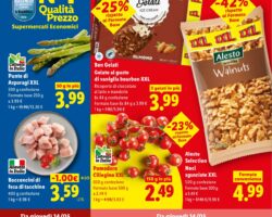 Volantino Lidl