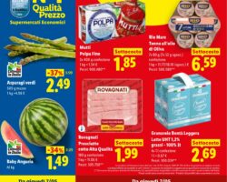 Volantino Lidl