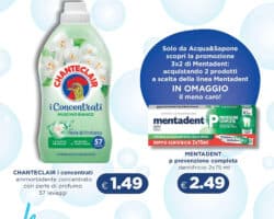 Volantino Acqua & Sapone