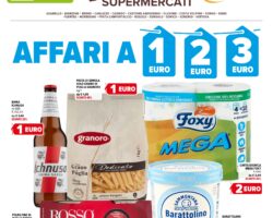 Volantino Iperal