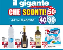 Volantino Il Gigante