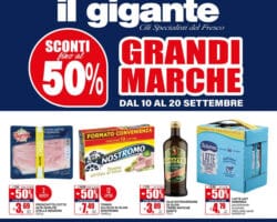 Volantino Il Gigante